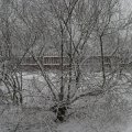 IMG_9216